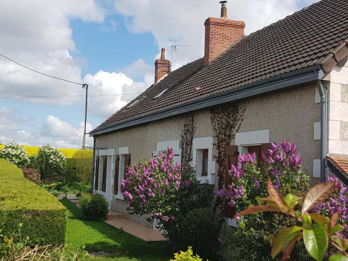 Chambres D'Hotes Anne-Marie Châtillon-sur-Indre Dış mekan fotoğraf