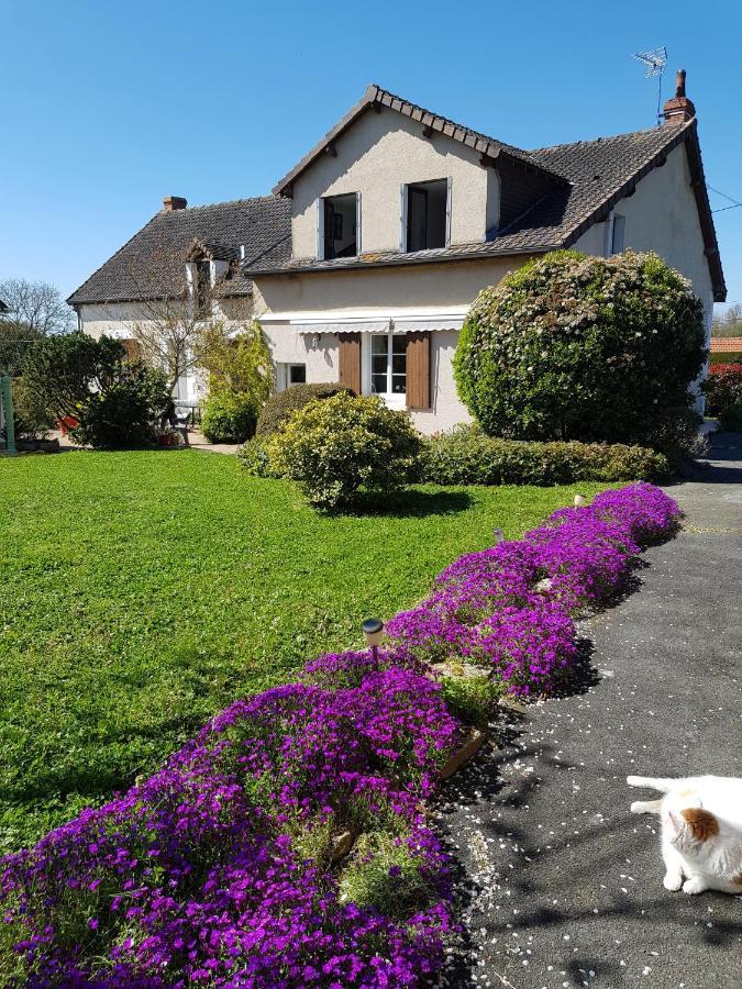 Chambres D'Hotes Anne-Marie Châtillon-sur-Indre Dış mekan fotoğraf